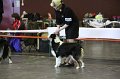 IMG_0459
