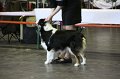 IMG_0461