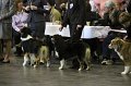 IMG_0465