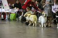 IMG_0469