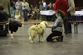 IMG_0470