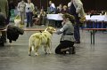IMG_0471