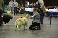 IMG_0472