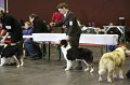 IMG_0477