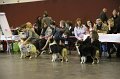 IMG_0479