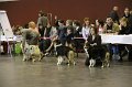 IMG_0480
