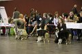 IMG_0481