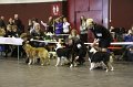 IMG_0483