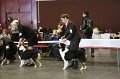 IMG_0484