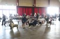 IMG_0485