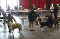 IMG_0486