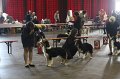 IMG_0487