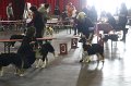 IMG_0488