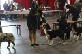 IMG_0490