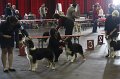 IMG_0491