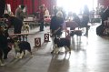 IMG_0492