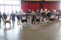 IMG_0493