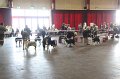 IMG_0494