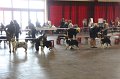 IMG_0496