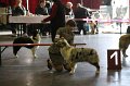 IMG_0499