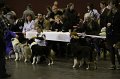 IMG_0507