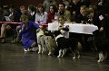 IMG_0517