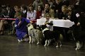 IMG_0518