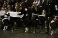 IMG_0520