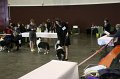 IMG_0527