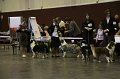 IMG_0530