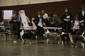 IMG_0532