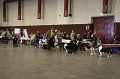 IMG_0534