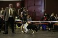 IMG_0538
