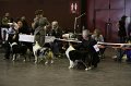 IMG_0543