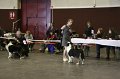 IMG_0544