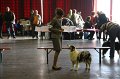 IMG_0546