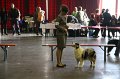 IMG_0547