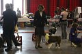 IMG_0548
