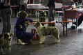 IMG_0550