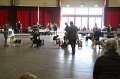 IMG_0552