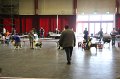 IMG_0553