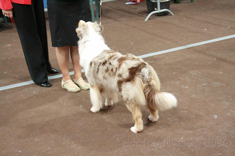 LuxembourgSpring2009_0120.JPG