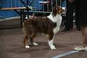 LuxembourgSpring2009_0061