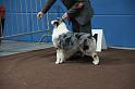 LuxembourgSpring2009_0125
