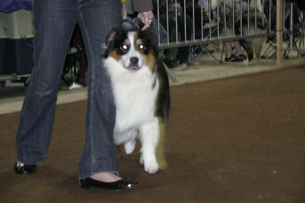 LuxembourgSpring2008017.JPG