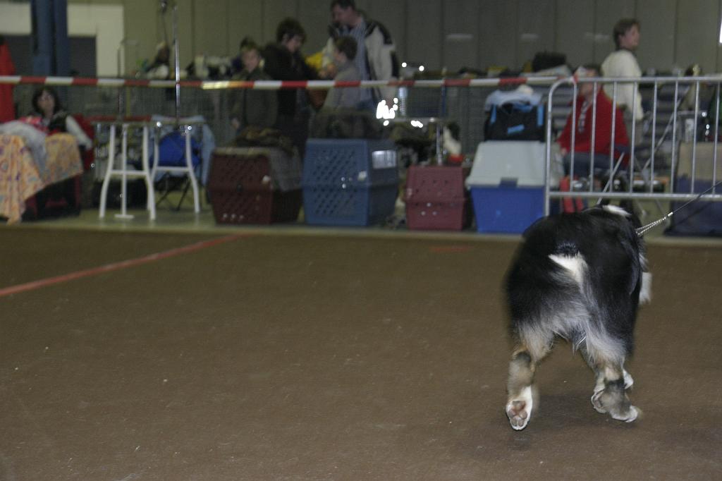 LuxembourgSpring2008122.JPG