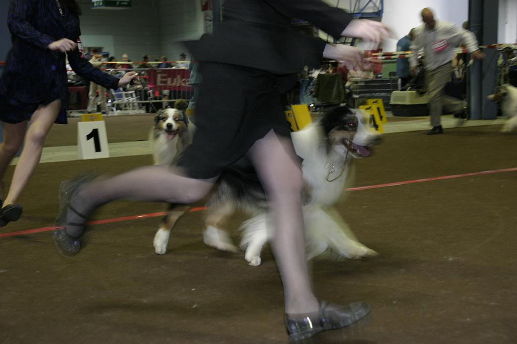 LuxembourgSpring2008151.JPG