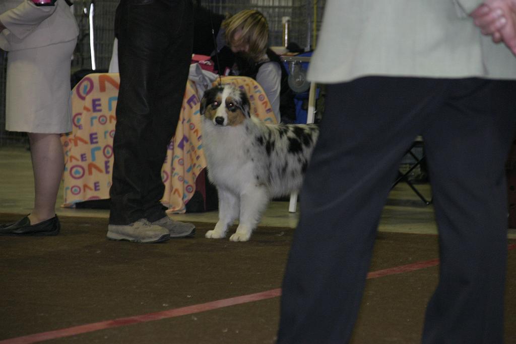 LuxembourgSpring2008454.JPG