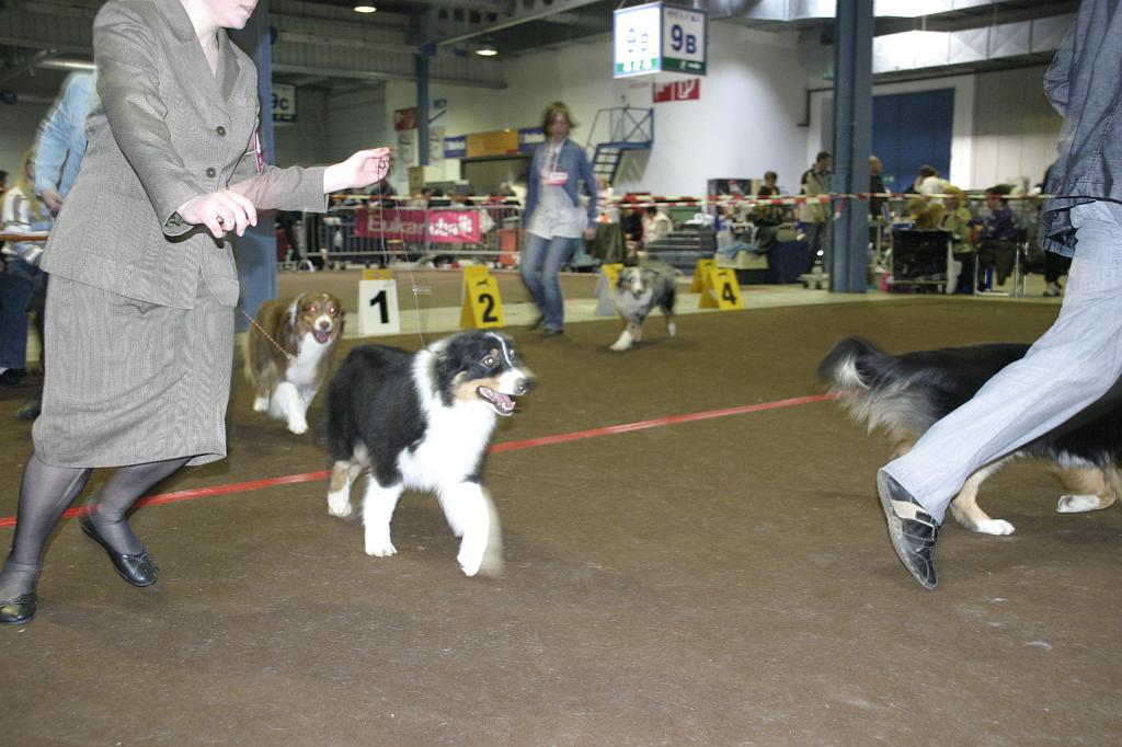 LuxembourgSpring2008587.JPG