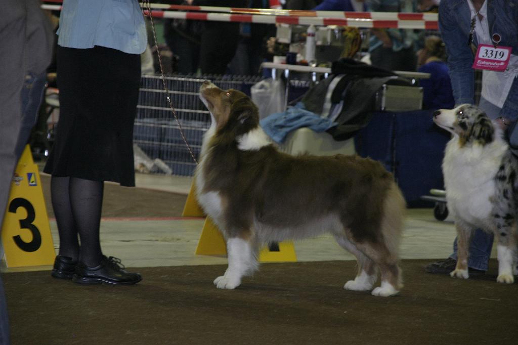 LuxembourgSpring2008597.JPG